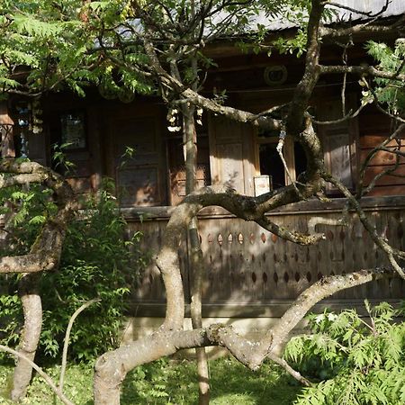 Woodenhouse Maramures Viseu de Sus Exterior photo