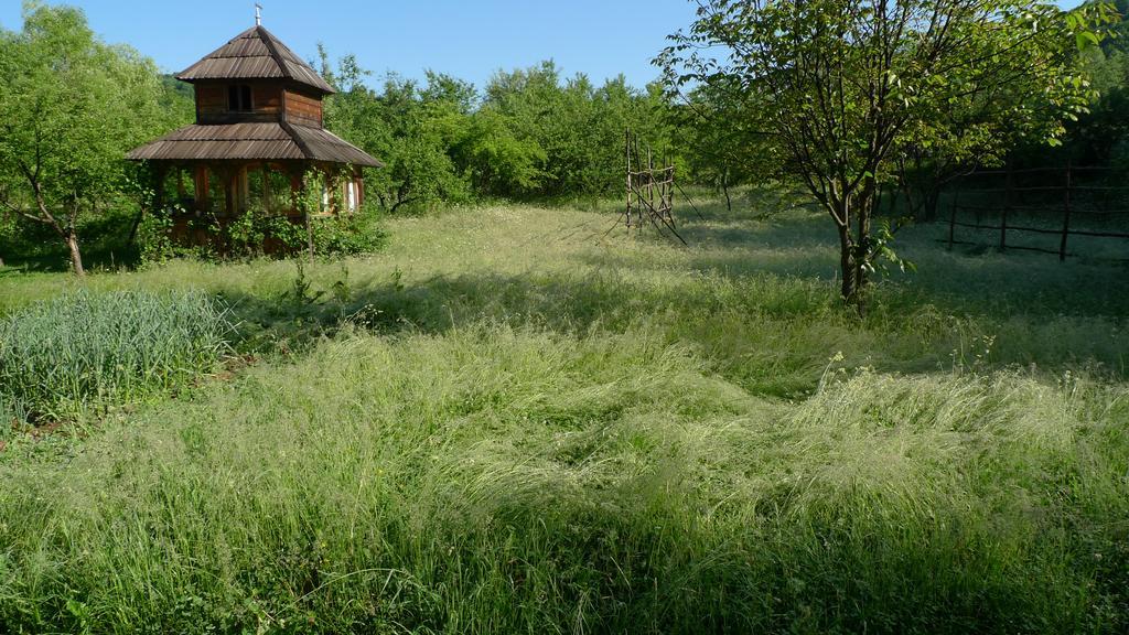 Woodenhouse Maramures Viseu de Sus Exterior photo