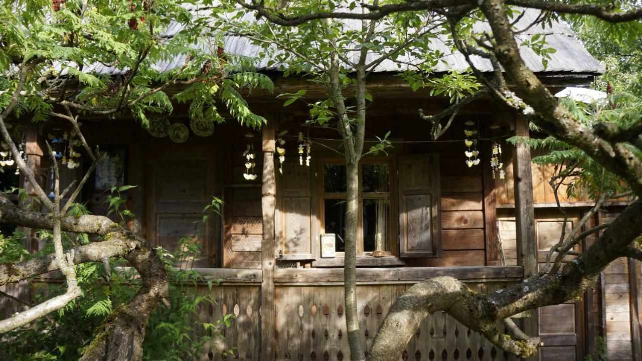 Woodenhouse Maramures Viseu de Sus Exterior photo